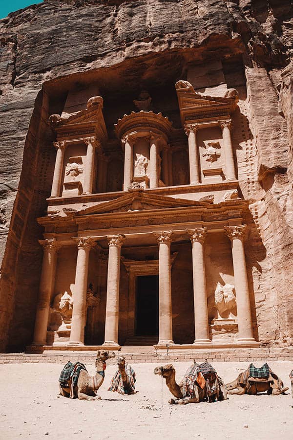 Camels in Jordan Petra