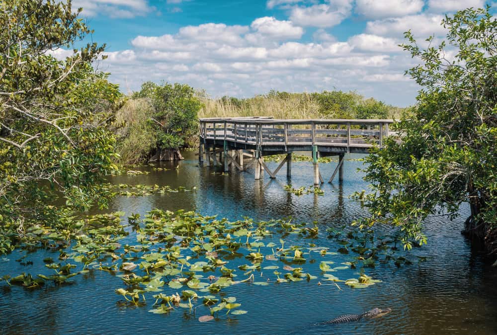 What National Parks to Visit During Free Entry Days 2024 2