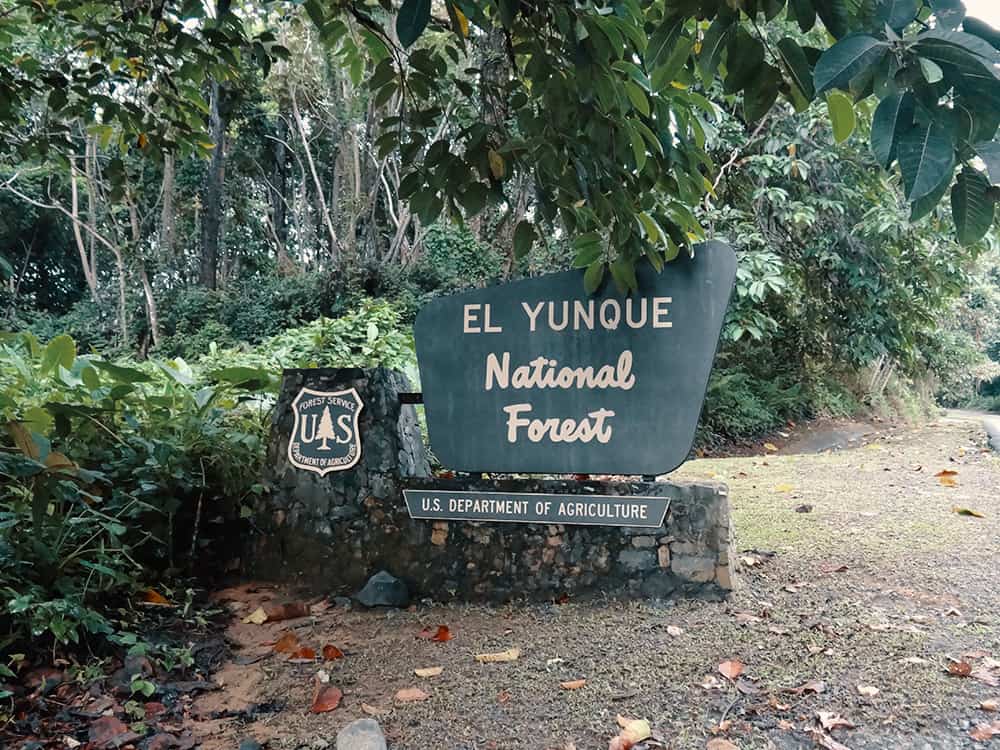 San Juan El Yunque National Forest