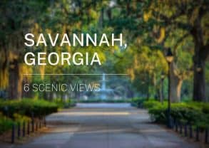 Scenic Views in Savannah Georgia