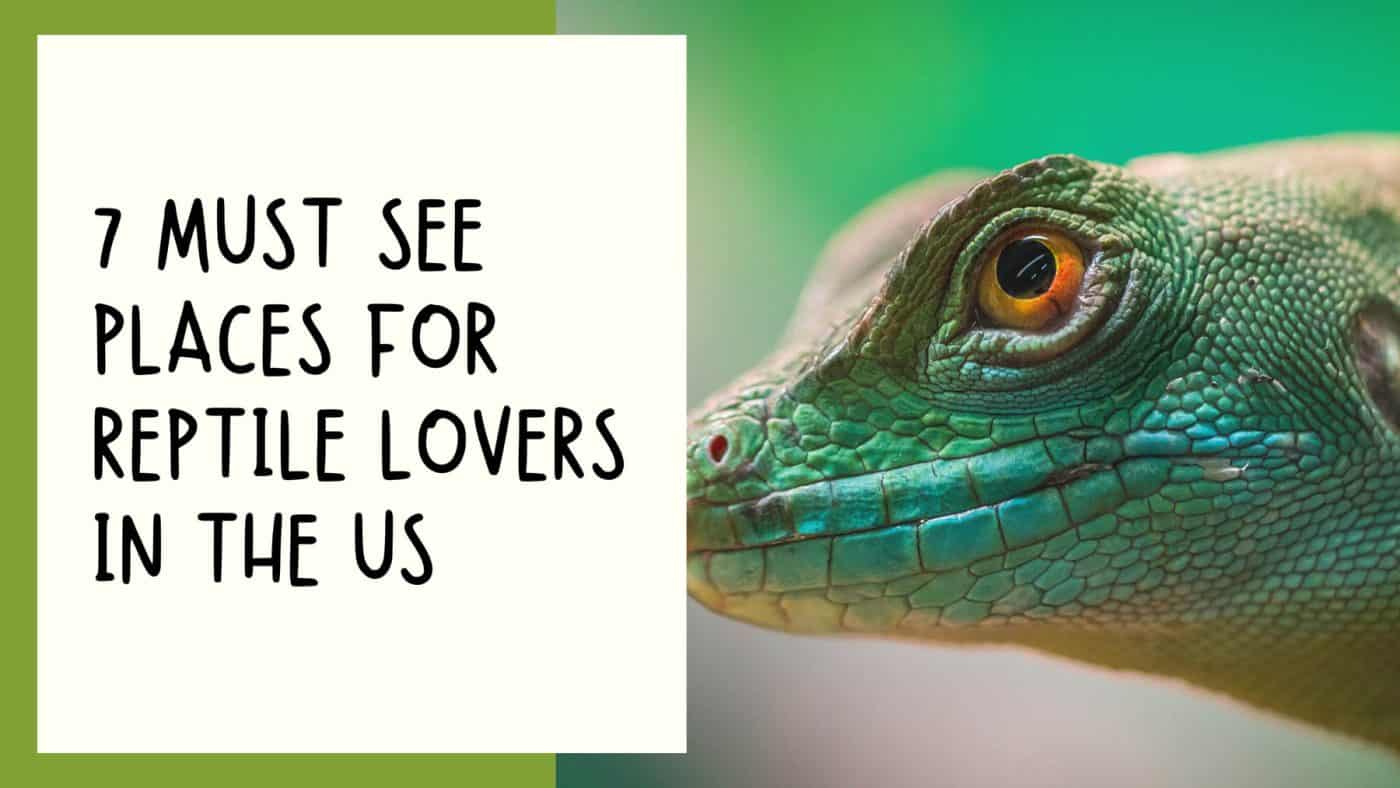 best places for reptile lovers us