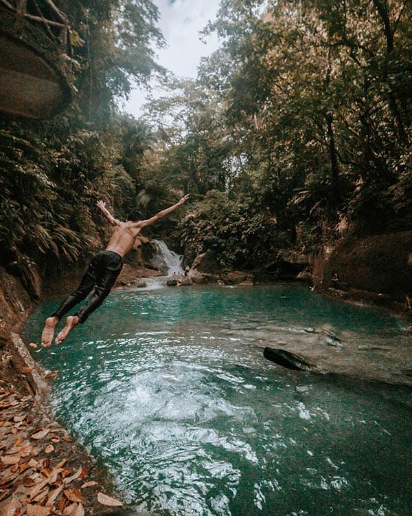 diving into water forest