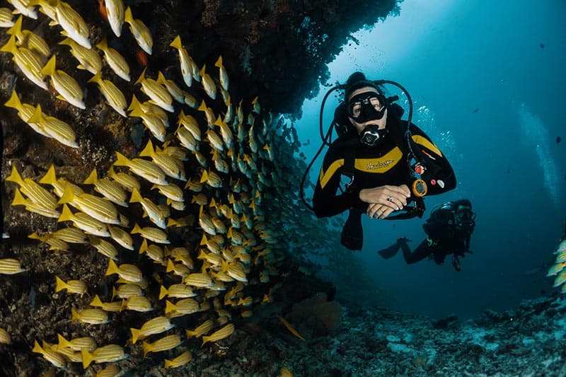 maldives scuba diving